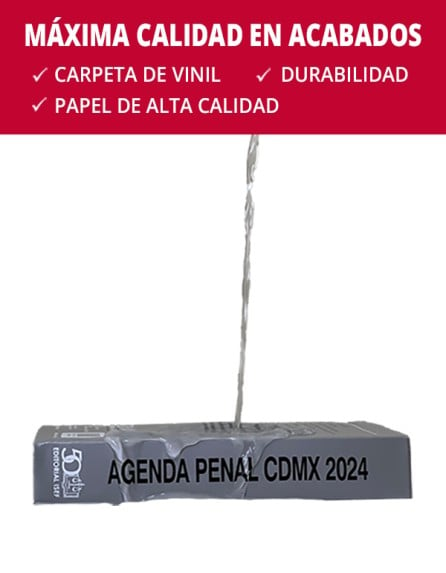 Agenda Penal de la Ciudad de México 2024