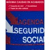 Agenda de Seguridad Social 2025