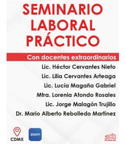 Seminario Laboral Práctico