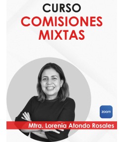 Curso “Comisiones Mixtas”