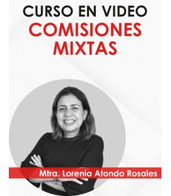 Curso en vídeo “Comisiones Mixtas”