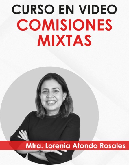 Curso en vídeo “Comisiones Mixtas”