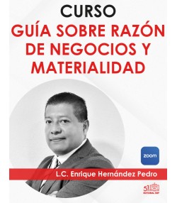 Curso “Razón de negocios y materialidad”