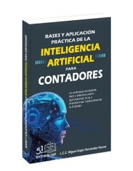 Bases y Aplicación Práctica de la IA para CONTADORES