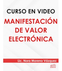 Curso en video “Manifestación de valor electrónica”