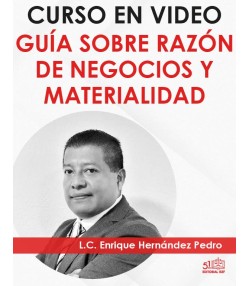 Curso en video “Razón de negocios y materialidad”