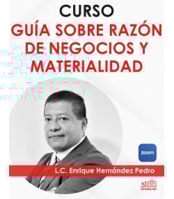 Curso en video “Razón de negocios y materialidad”