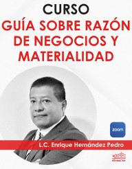 Curso en video “Razón de negocios y materialidad”