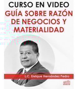 Curso en video “Razón de negocios y materialidad”