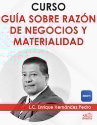 Curso en video “Razón de negocios y materialidad”