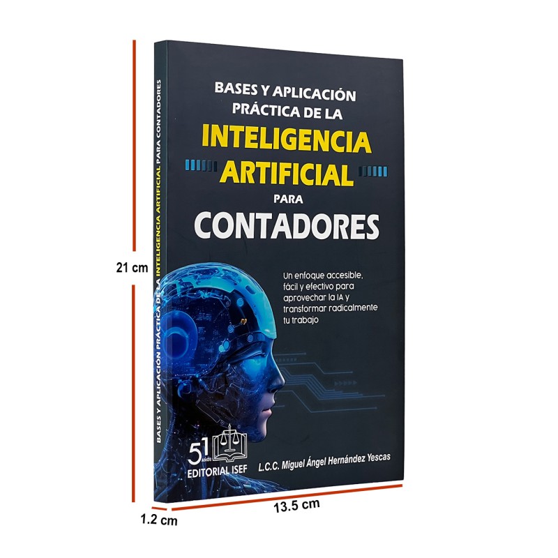 Bases y Aplicación Práctica de la IA para CONTADORES