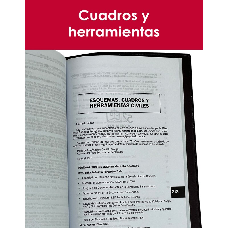 Agenda Civil de la Ciudad de México 2026