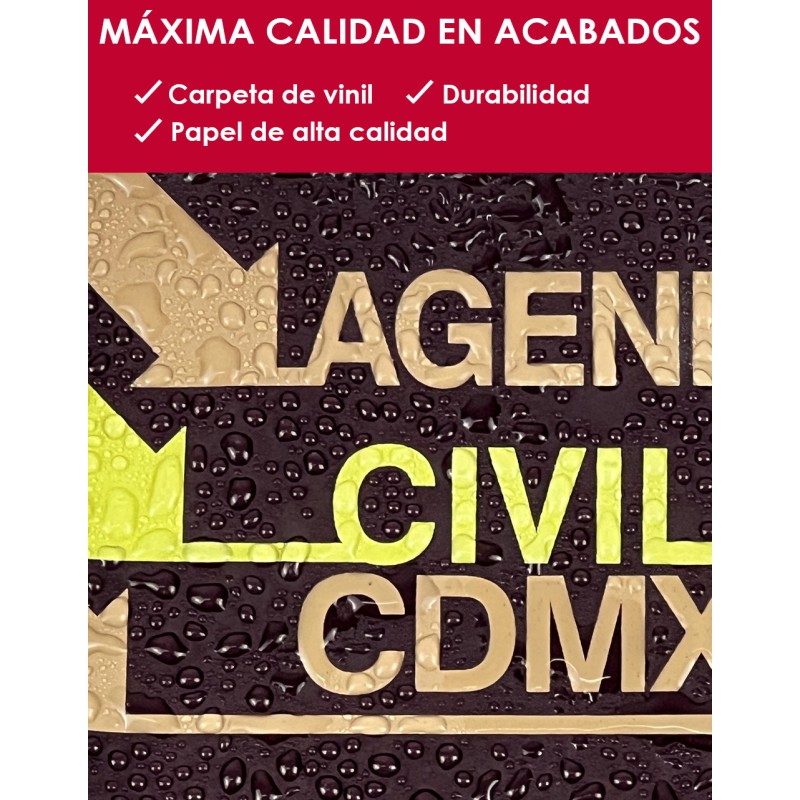 Agenda Civil de la Ciudad de México 2026