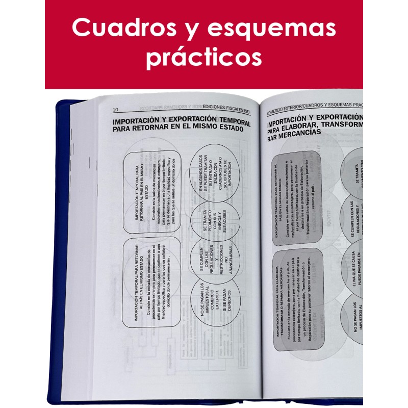 Compendio de Comercio Exterior Económico y Complemento 2026