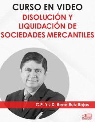 Curso en vídeo ”Disolución y Liquidación de SM”