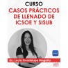 Curso “ICSOE Y SISUB”