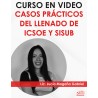 Curso en video “ICSOE Y SISUB”