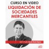 Curso en vídeo ”Disolución y Liquidación de SM”