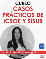 Curso “ICSOE Y SISUB”