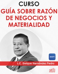 Curso “Razón de negocios y materialidad”