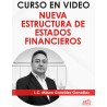 Curso en video "Nueva Estructura de Estados Financieros"